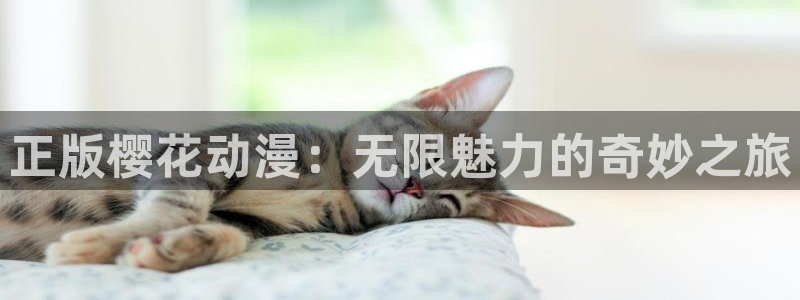 58动漫网站免费看