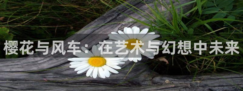 58动漫网站好看的动漫